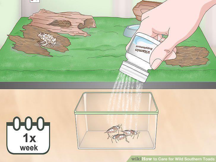 Step 12
