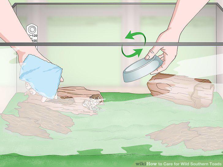 Step 13
