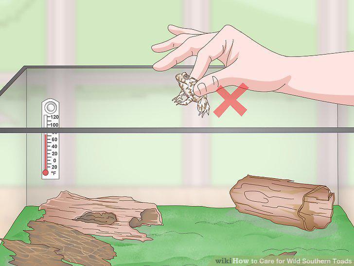 Step 14