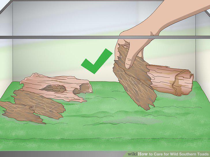 Step 3