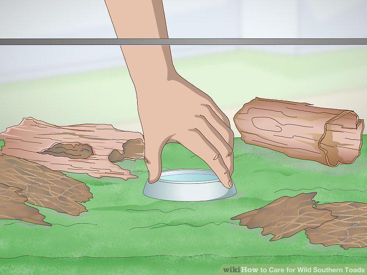 Step 4