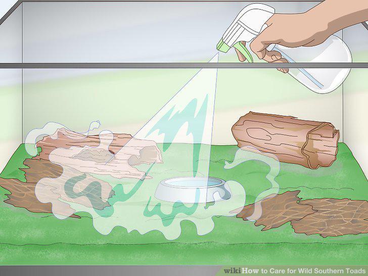 Step 5