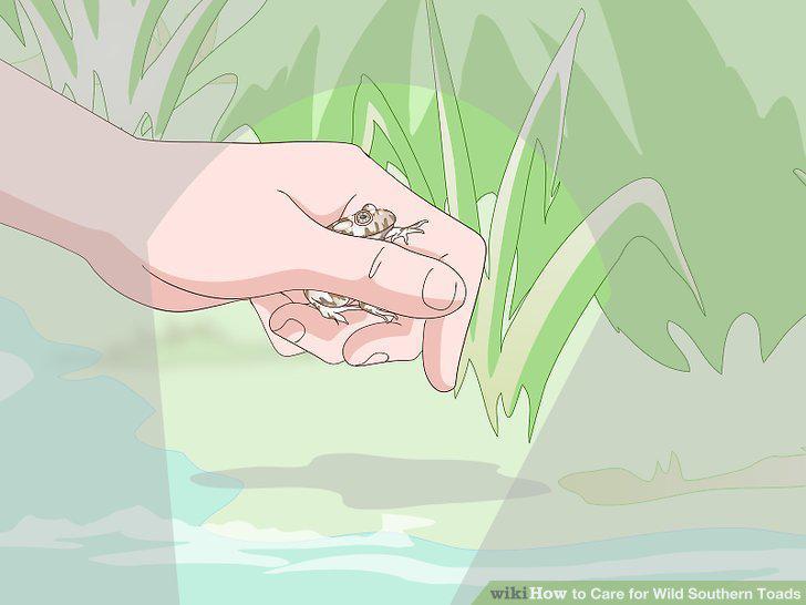 Step 9