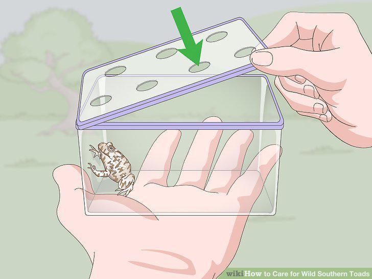 Step 10