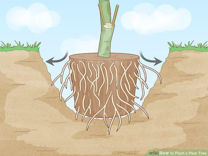 Step 11
