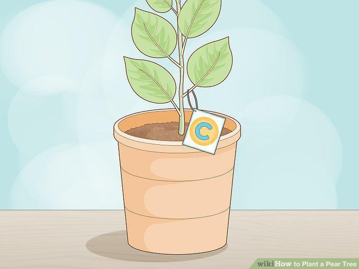 Step 14