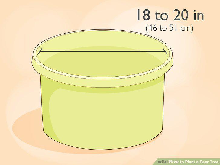 Step 15