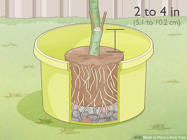 Step 17