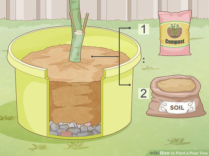 Step 18
