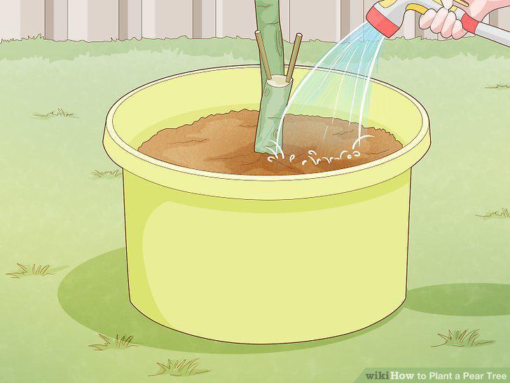 Step 19