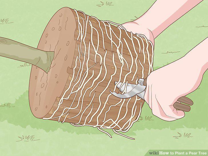 Step 8