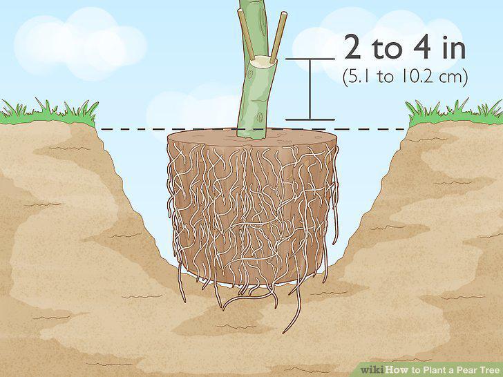 Step 10