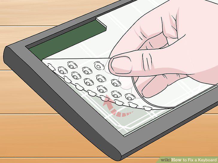 Step 15