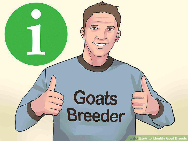 Step 10
