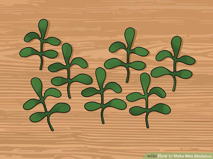Step 15