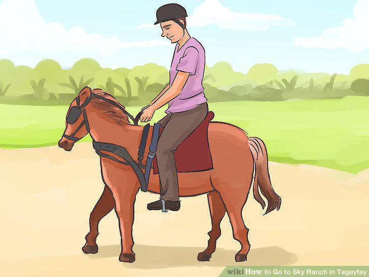 Step 15