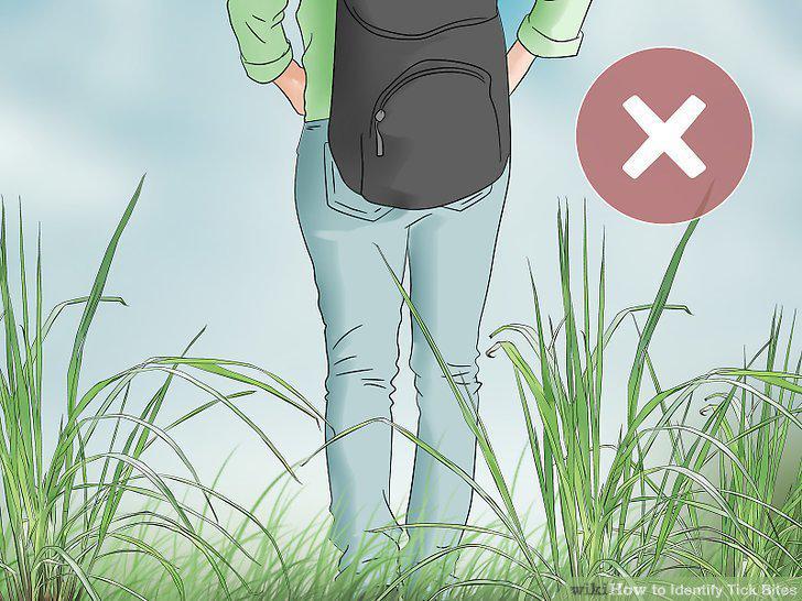Step 12