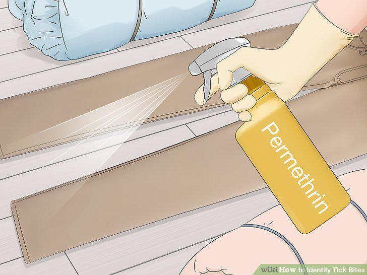 Step 13