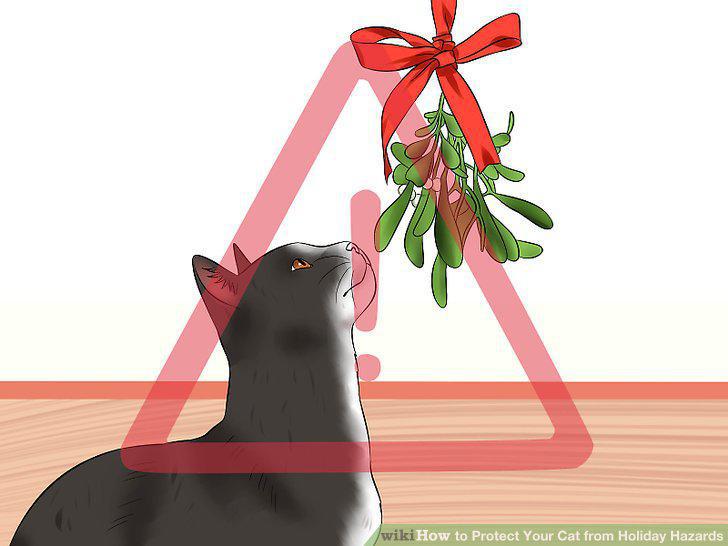 Step 11
