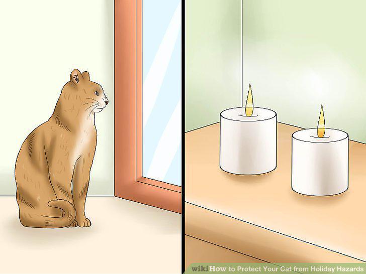 Step 12