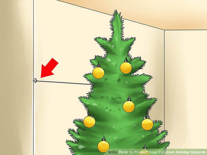 Step 6