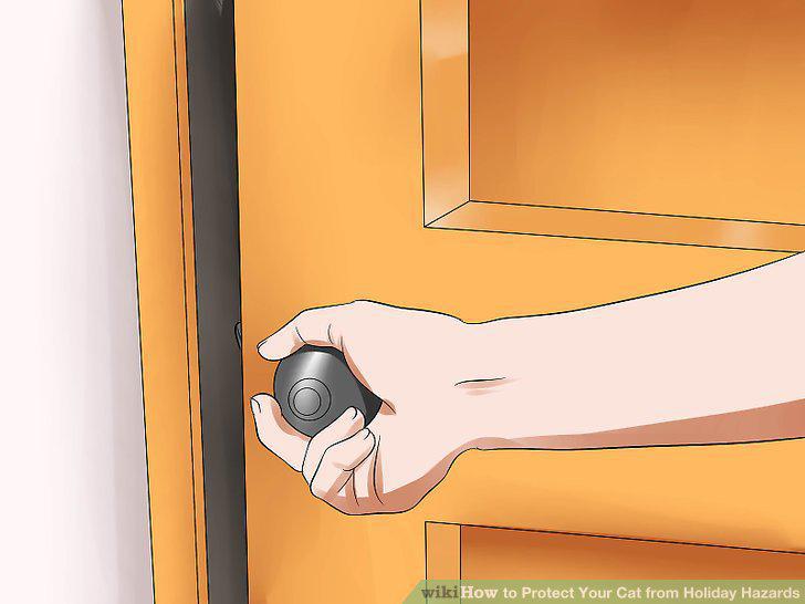 Step 10