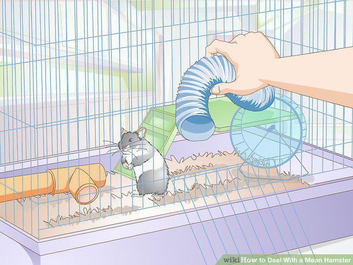 Step 11
