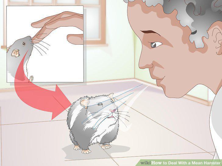 Step 13