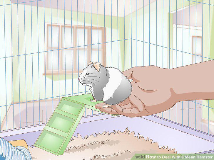 Step 14