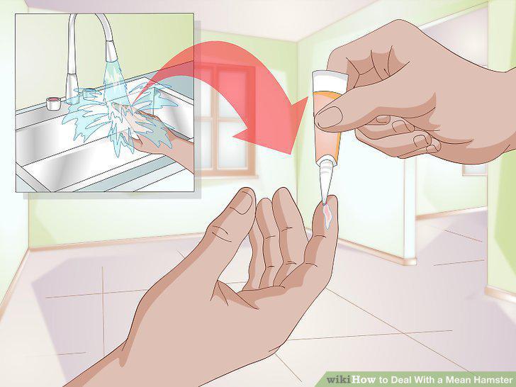Step 15