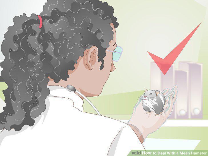 Step 16