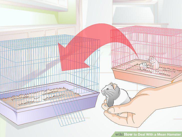 Step 8