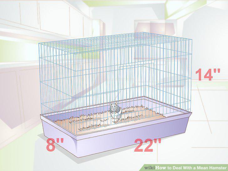 Step 9