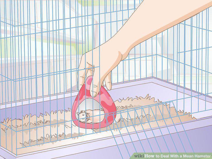 Step 10