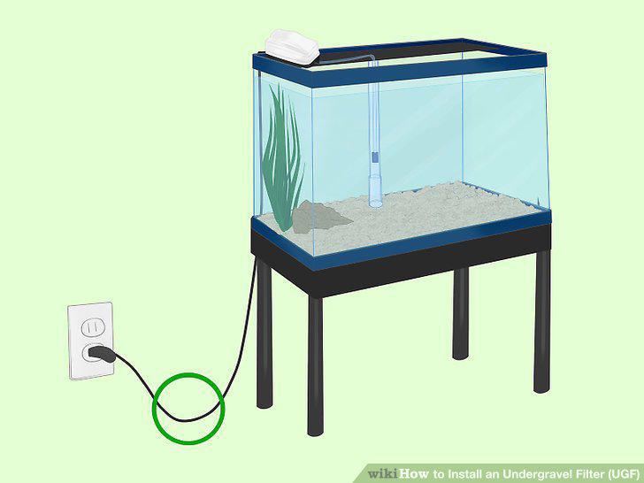 Step 13