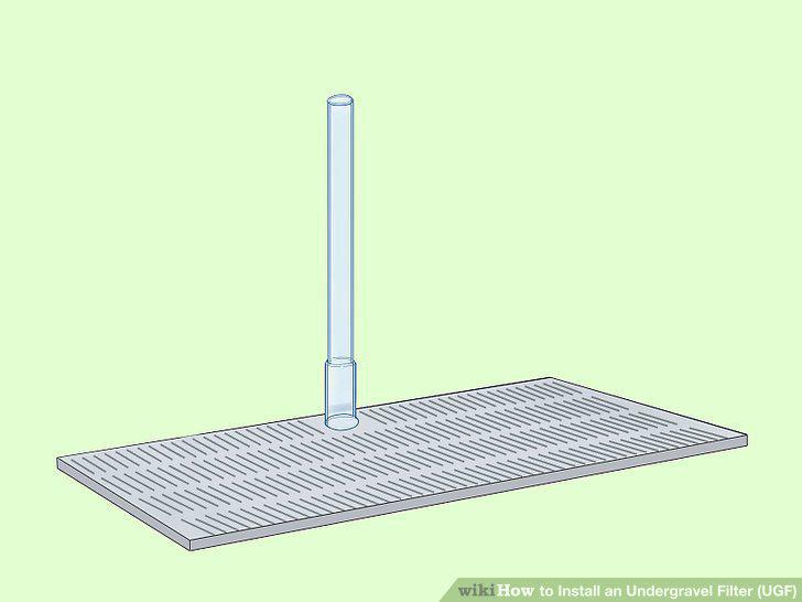 Step 5