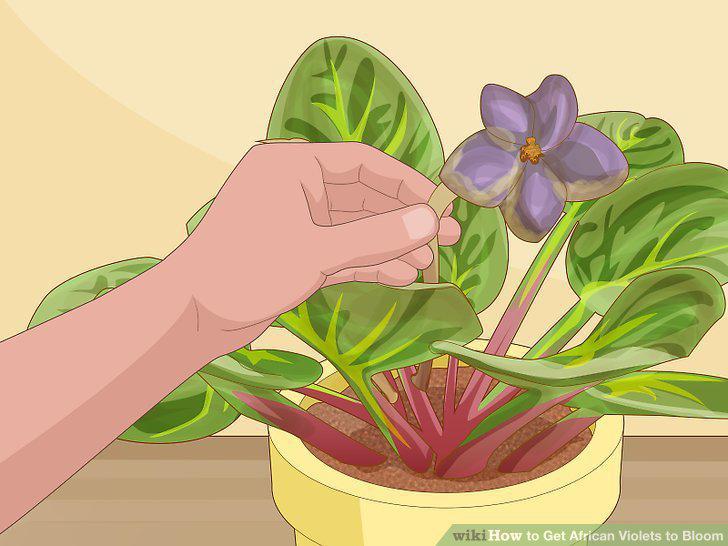 Step 7