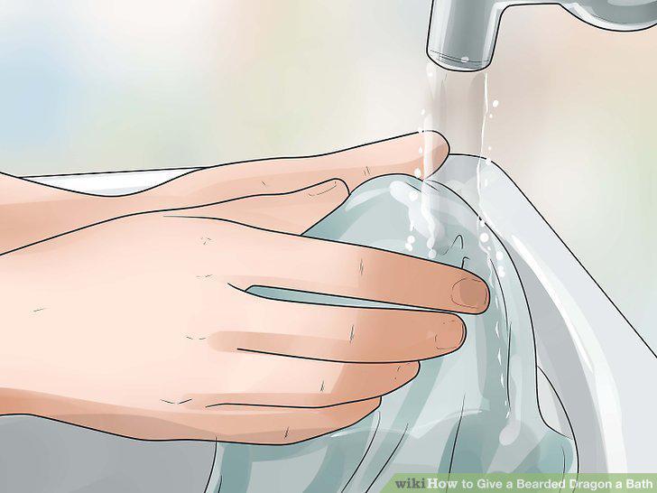 Step 11