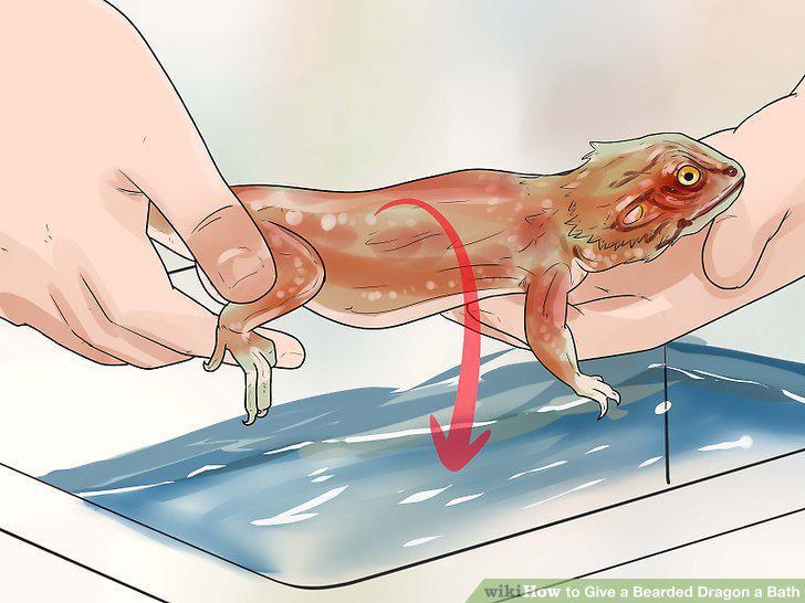 Step 5