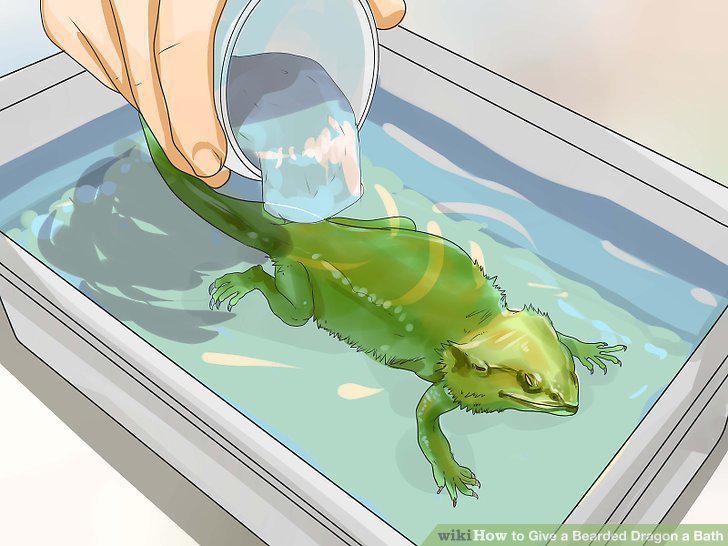 Step 6