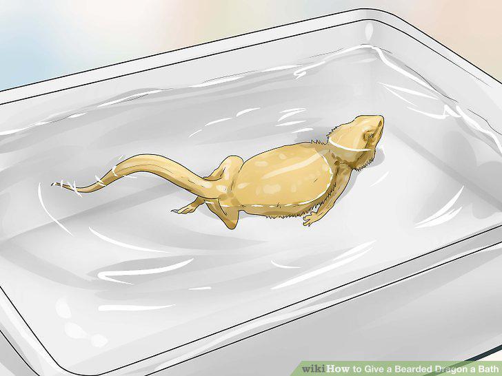 Step 8