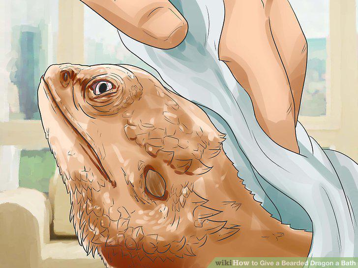 Step 9