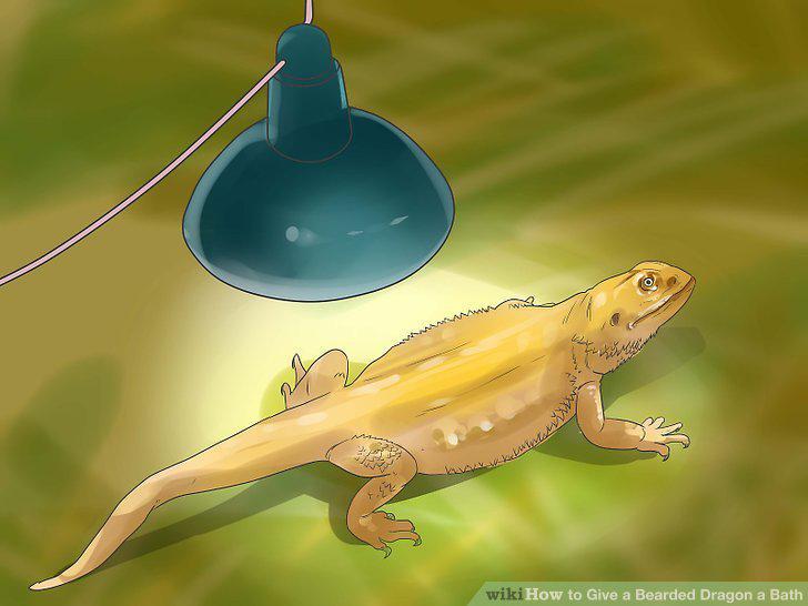 Step 10