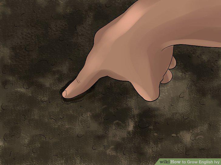 Step 12