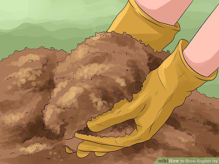 Step 13