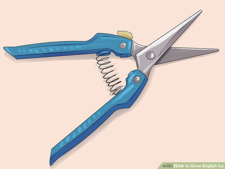 Step 16