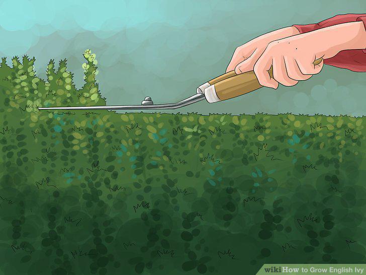 Step 17