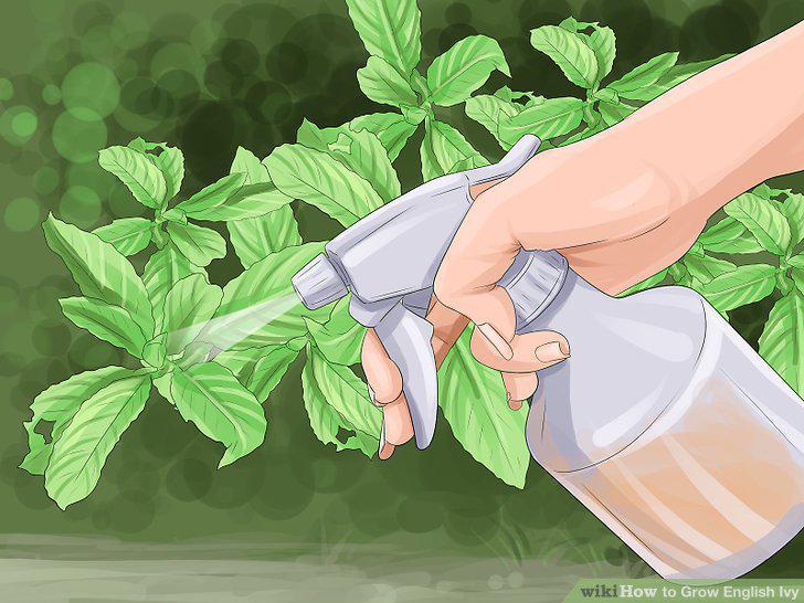Step 18