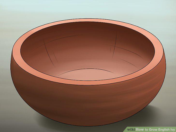 Step 5