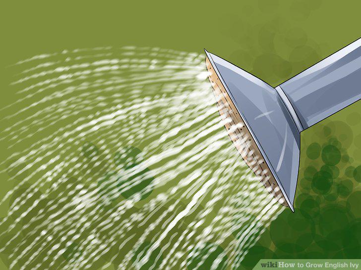 Step 10